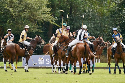 Překonejte Trému Před Jezdeckými Závody: Efektivní Strategie