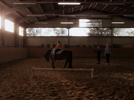 Jak Pravidelný Trénink Zlepšuje Výkon a Bezpečnost v Jezdectví