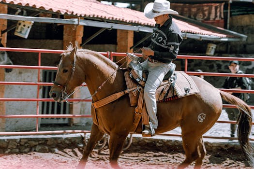 Unikátní Mix Tradic a Moderního Výcviku Koní ve Skalici u České Lípy