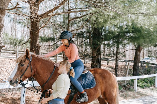 Skalice: Váš průvodce světem jezdeckých sportů a koňské kultury