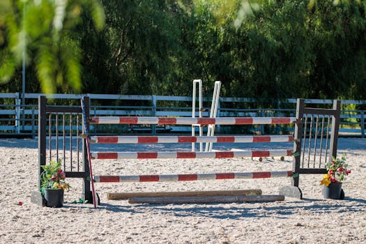 Jezdecké Sporty v České Lípě: Rozvoj, Trendy a Komunitní Přínos