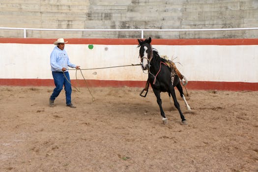 Výcvik koní ve Skalici: Kde tradice splývá s modernou