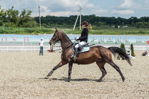 Vstupte do sedla: Průvodce jezdeckými soutěžemi ve Skalici pro všechny