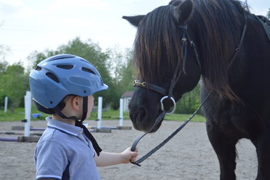 Jezdecký Klub ve Skalici: Přínos pro Zdraví a Komunitu